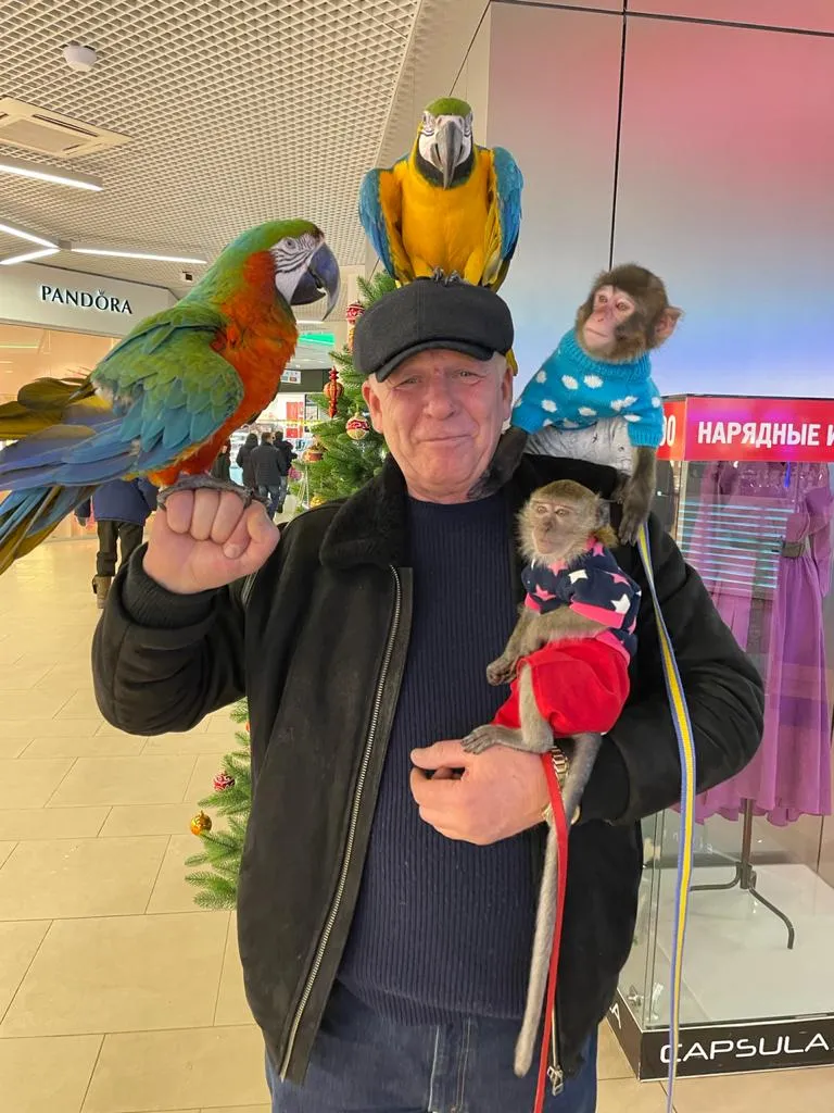 9416d97d-00a4-472a-9402-915696199386