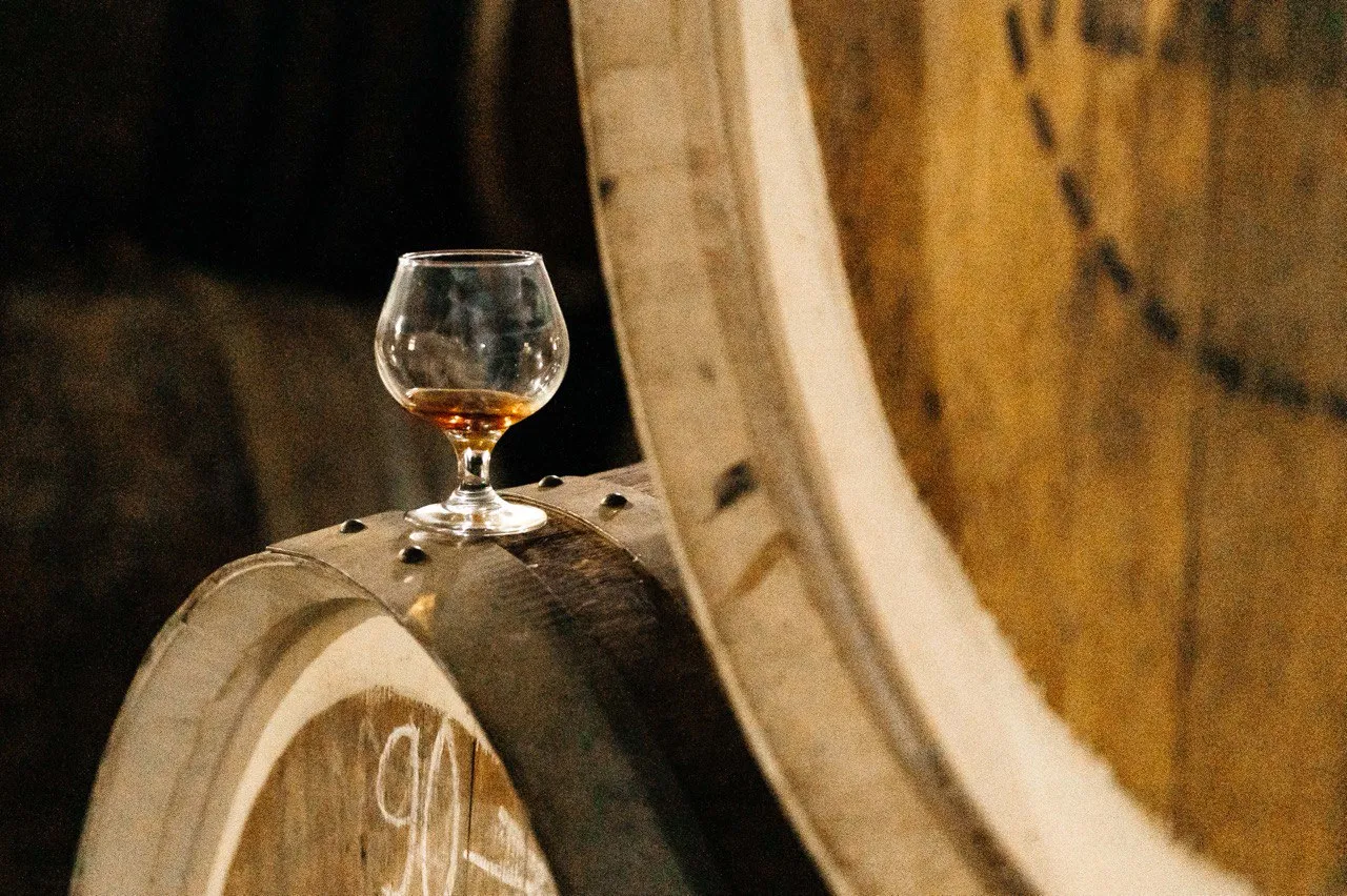 photo_2026-02-16_08-28-38