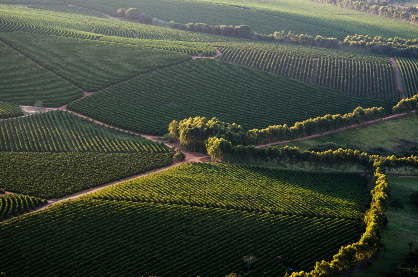 5141651107beed6a7a5e4f15966cb12043061a57-min